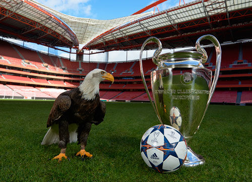 博主：梅州客家外援罗德里格确认签约深圳青年人（据博主消息，梅州客家外援罗德里格已与深圳青年人签约）