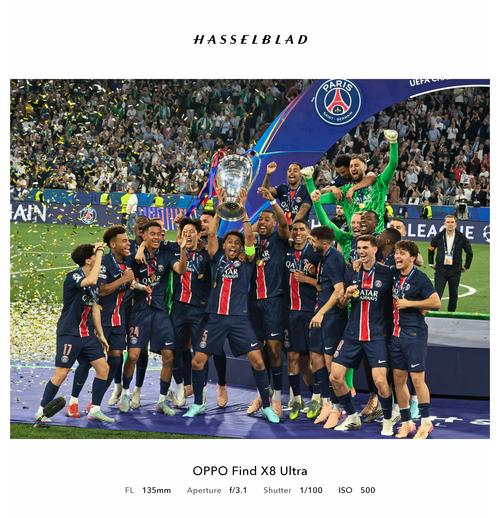 栏目与专题结构